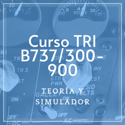 Curso TRI B737/300-900