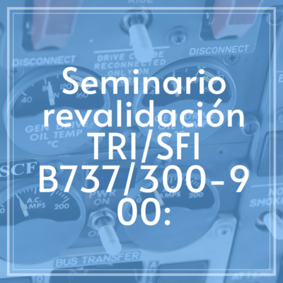 seminario-revalidacion-tri-b737-300-900